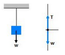Particles in one-dimensional equilibrium – application of Newton's first law problems and solutions 1