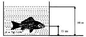 Pressure of fluids – problems and solutions 1
