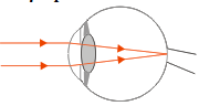 Optical instrument human eye - Physics