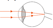 Optical instrument human eye 2