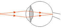 Optical instrument human eye 3
